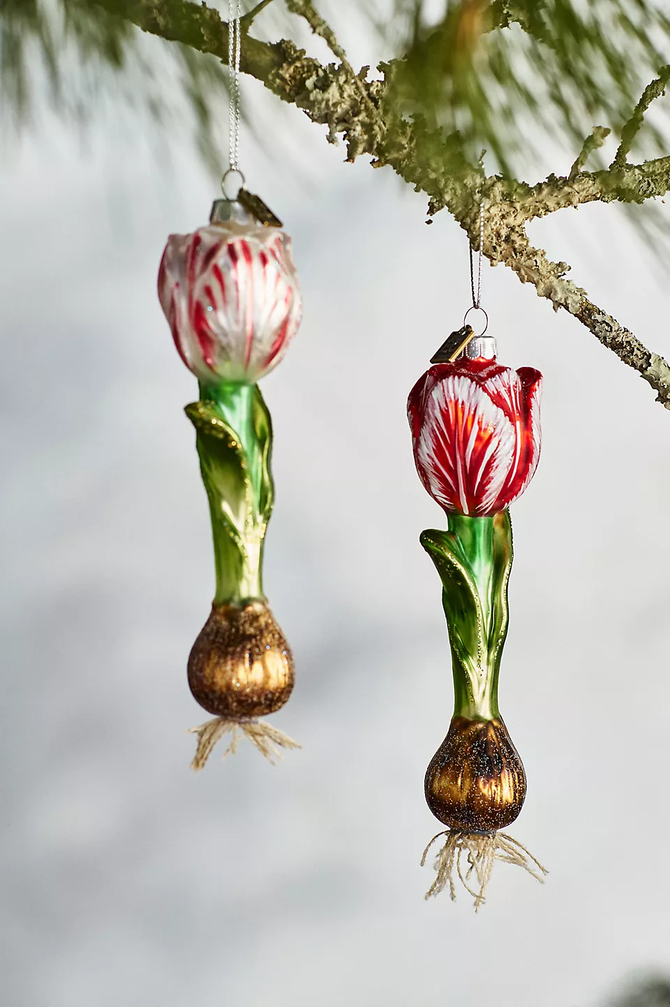 Tulip Bulb Ornament