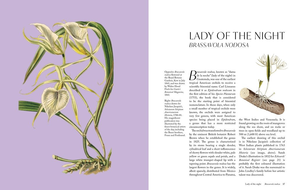 The Orchid: A Celebration of the World's Most Charismatic Flower