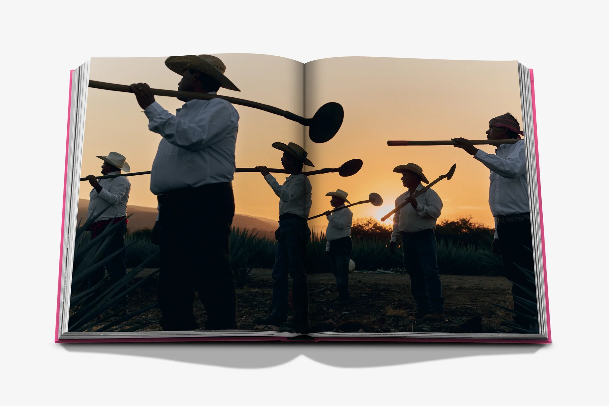 THE ART OF TEQUILA: SPIRIT OF MEXICO