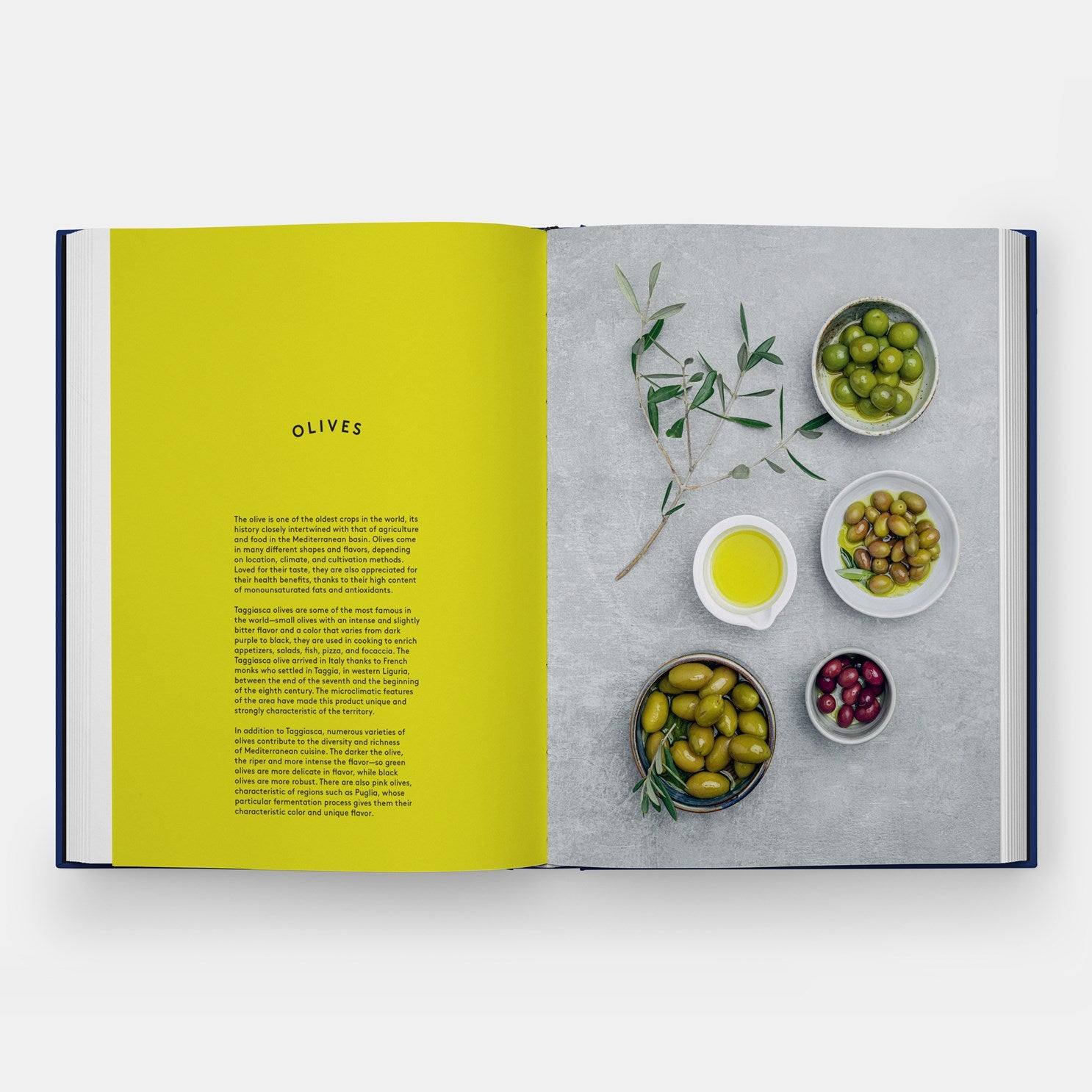 Book of Pasta