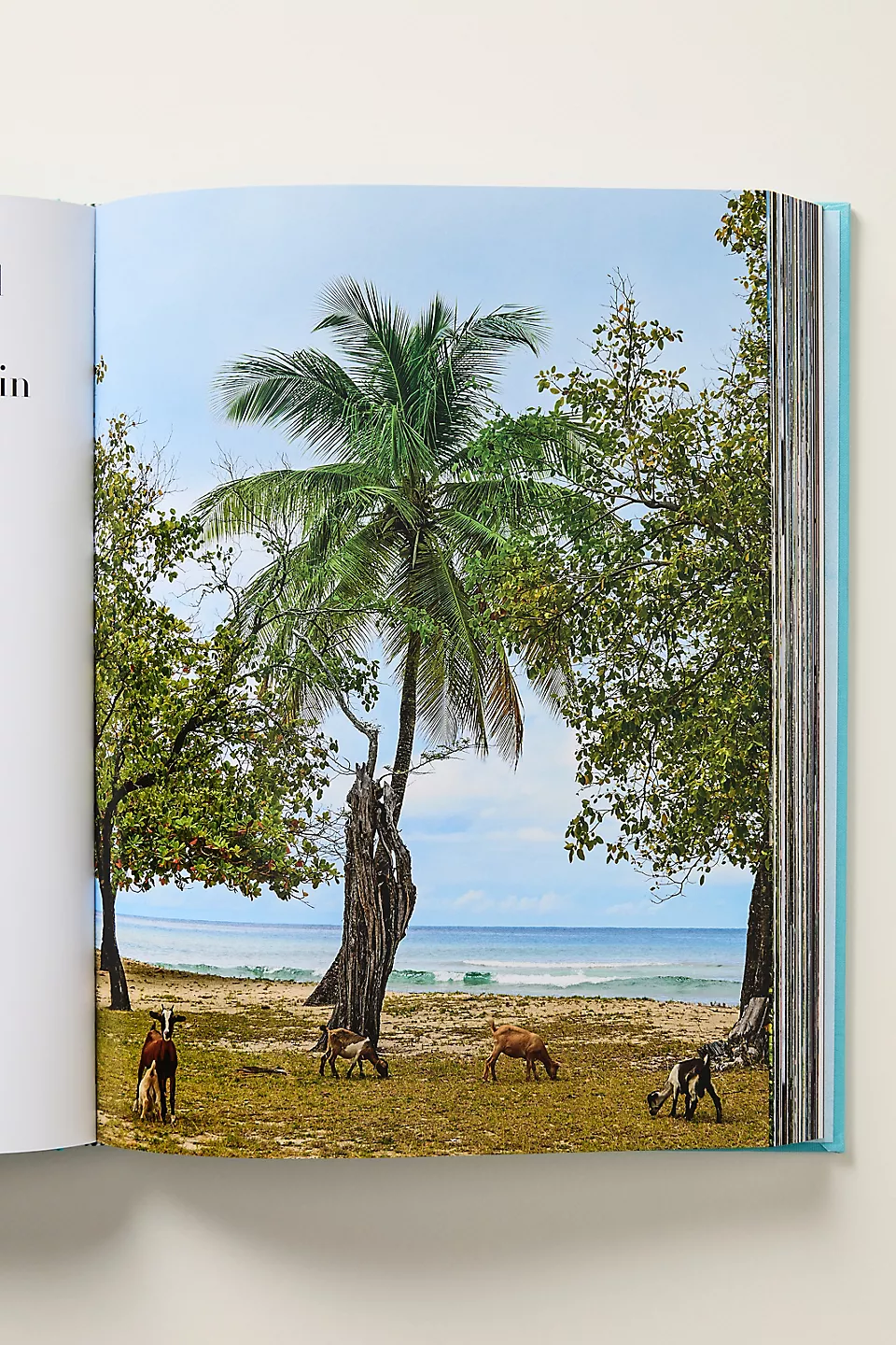 Mustique Icon