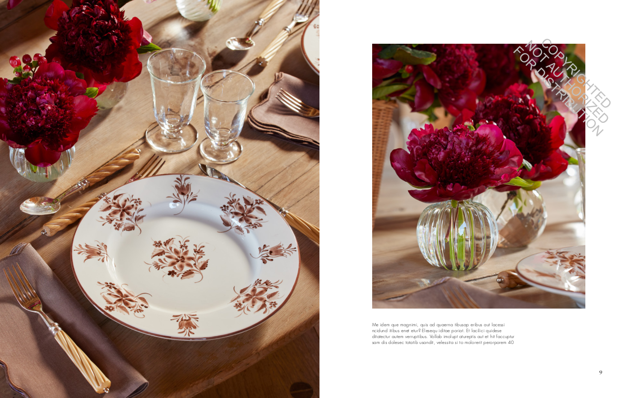 Aerin Lauder: Living with Flowers
