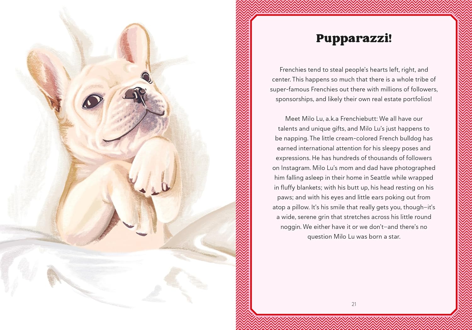 Illustration of a Frenchie lying on a white blanket with text about 'Pupparazzi' on a red border.