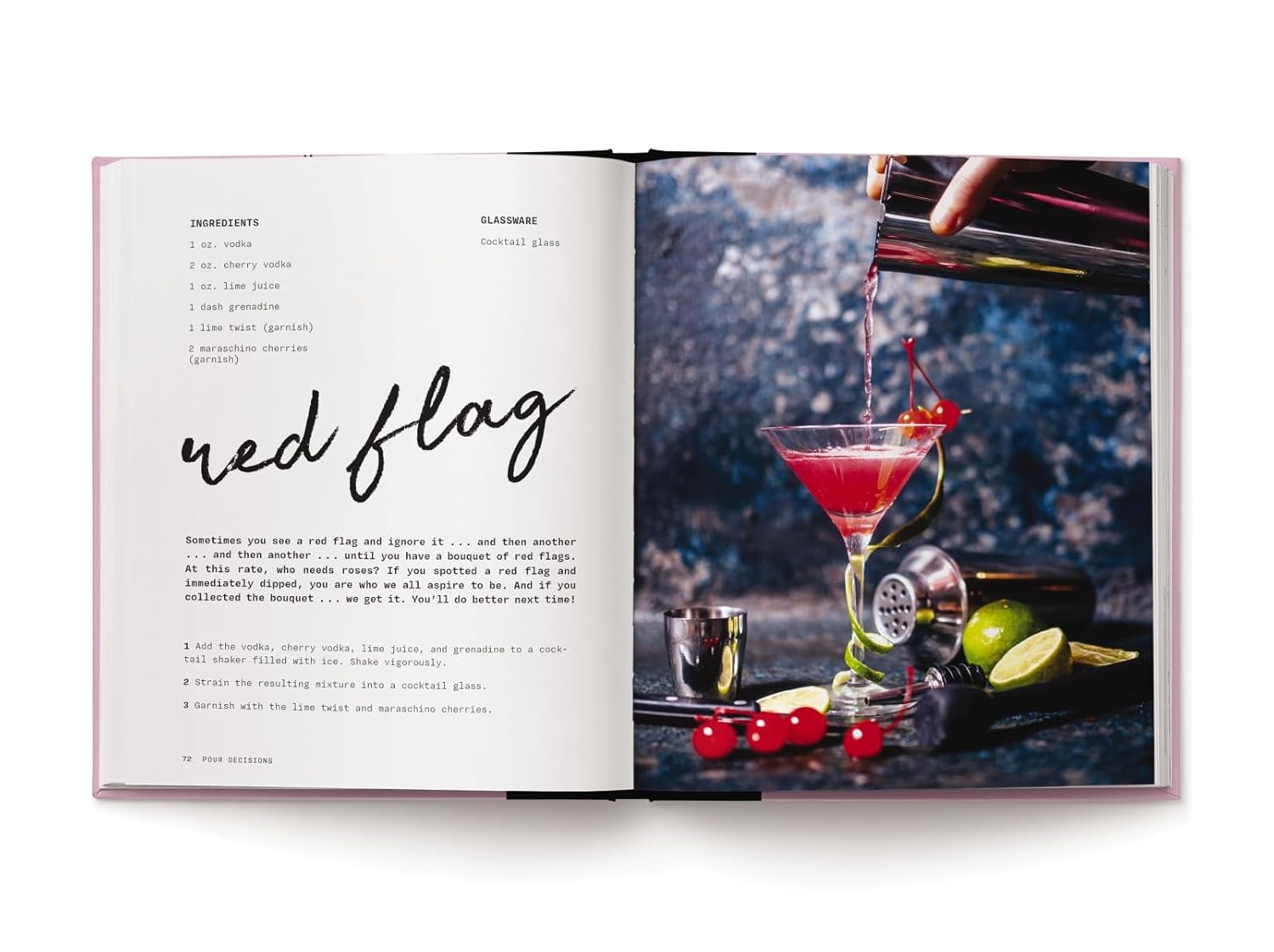 Pour Decisions: 100 Cocktail Recipes Inspired by Your Ex