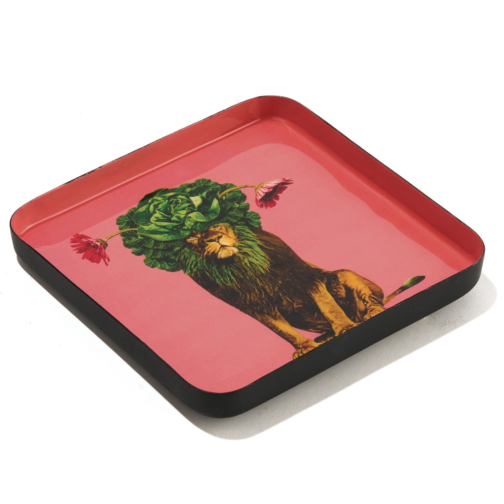 Léo's Catchall (Lion Tray)