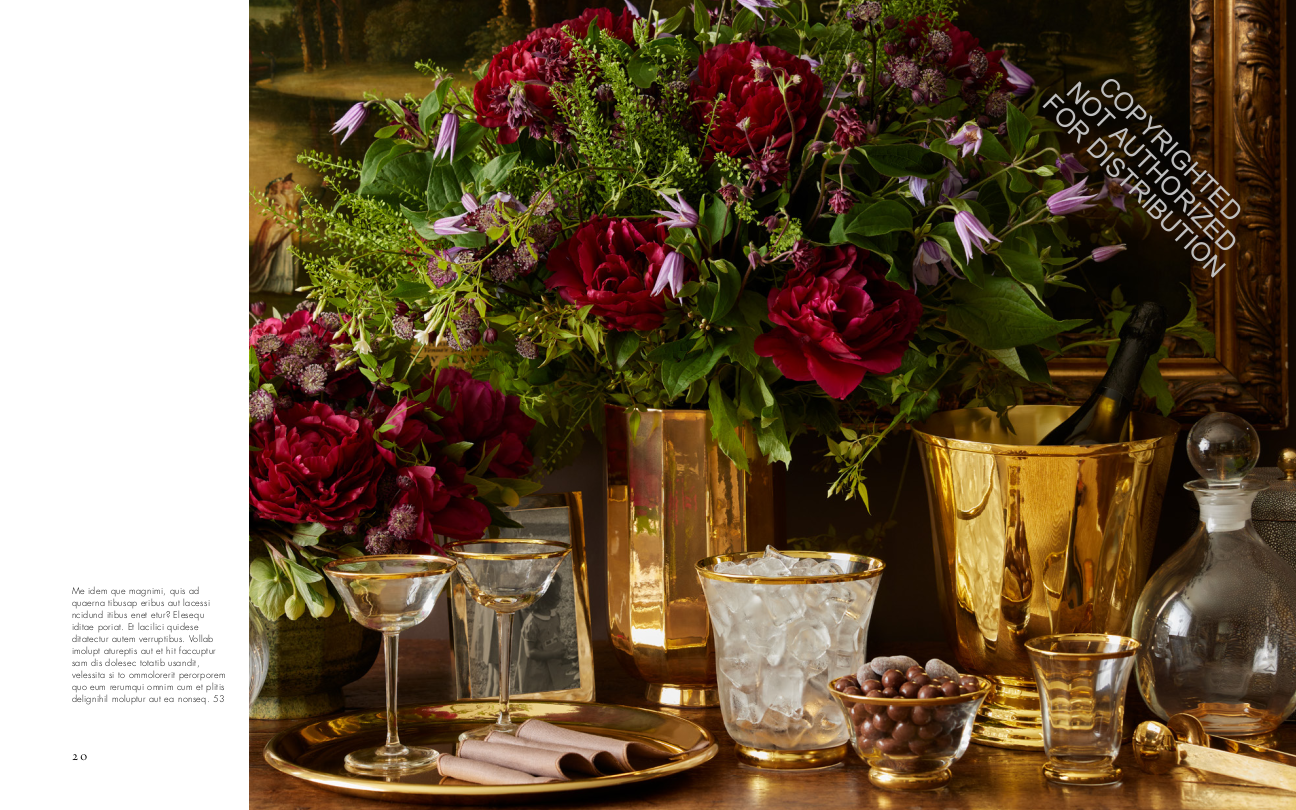Aerin Lauder: Living with Flowers