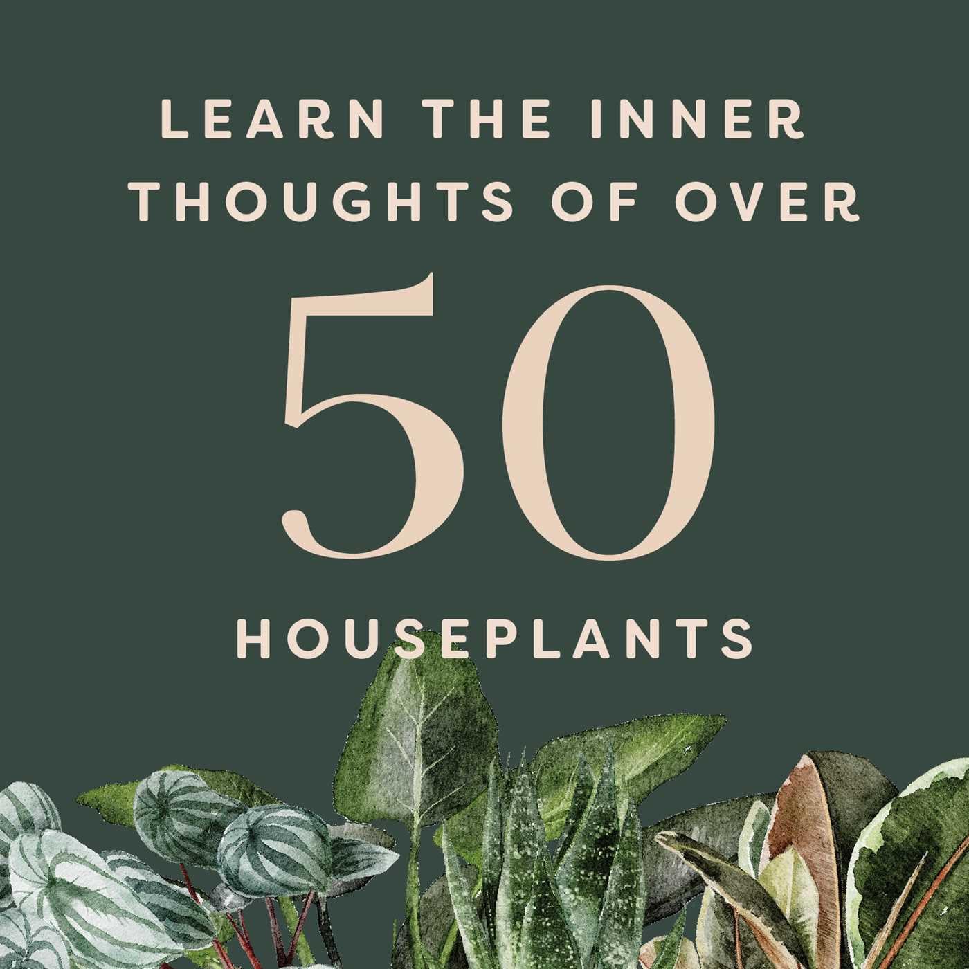 Houseplants and Their Thoughts