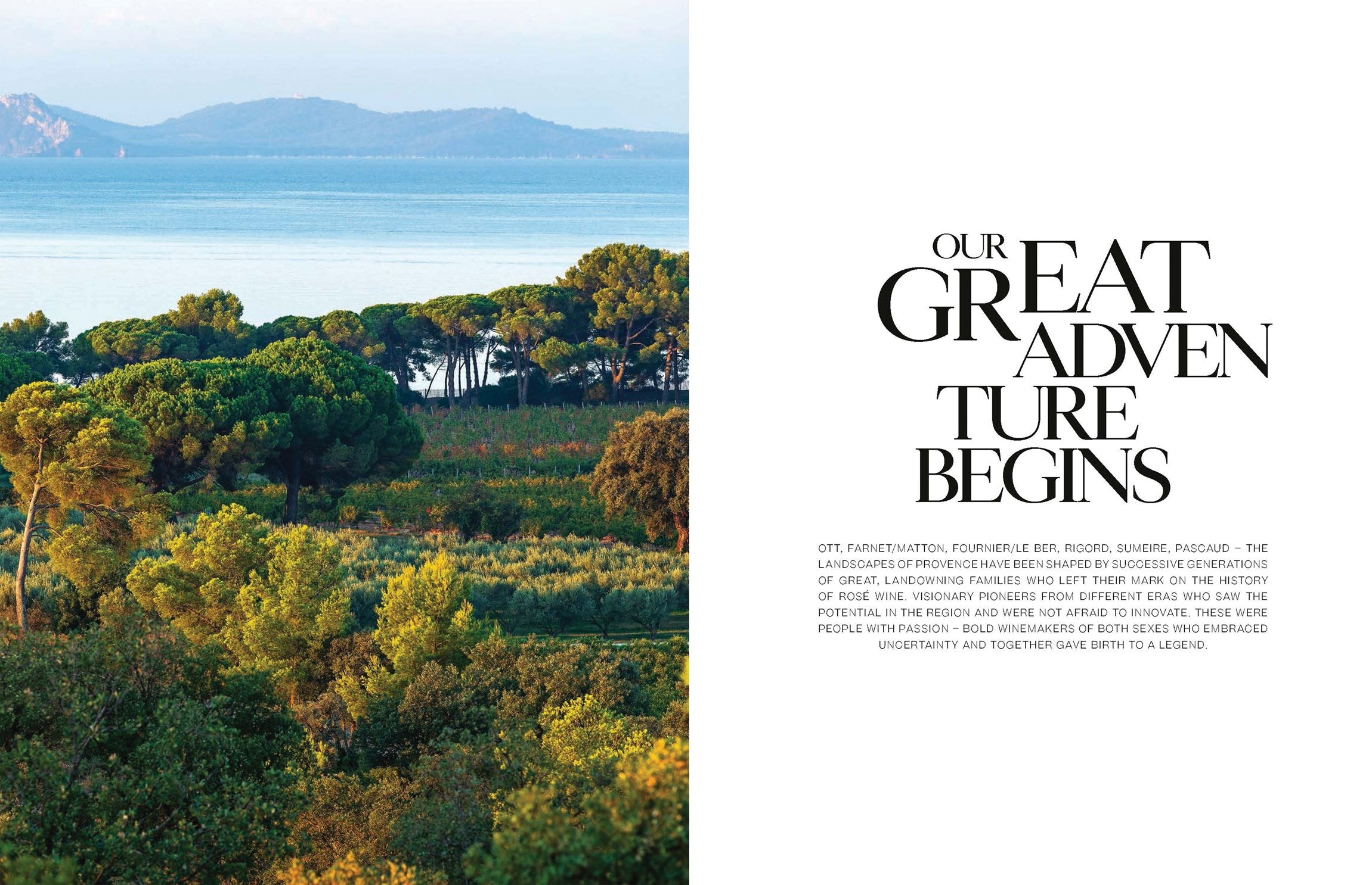 Adventures of Rose Wine in Provence
