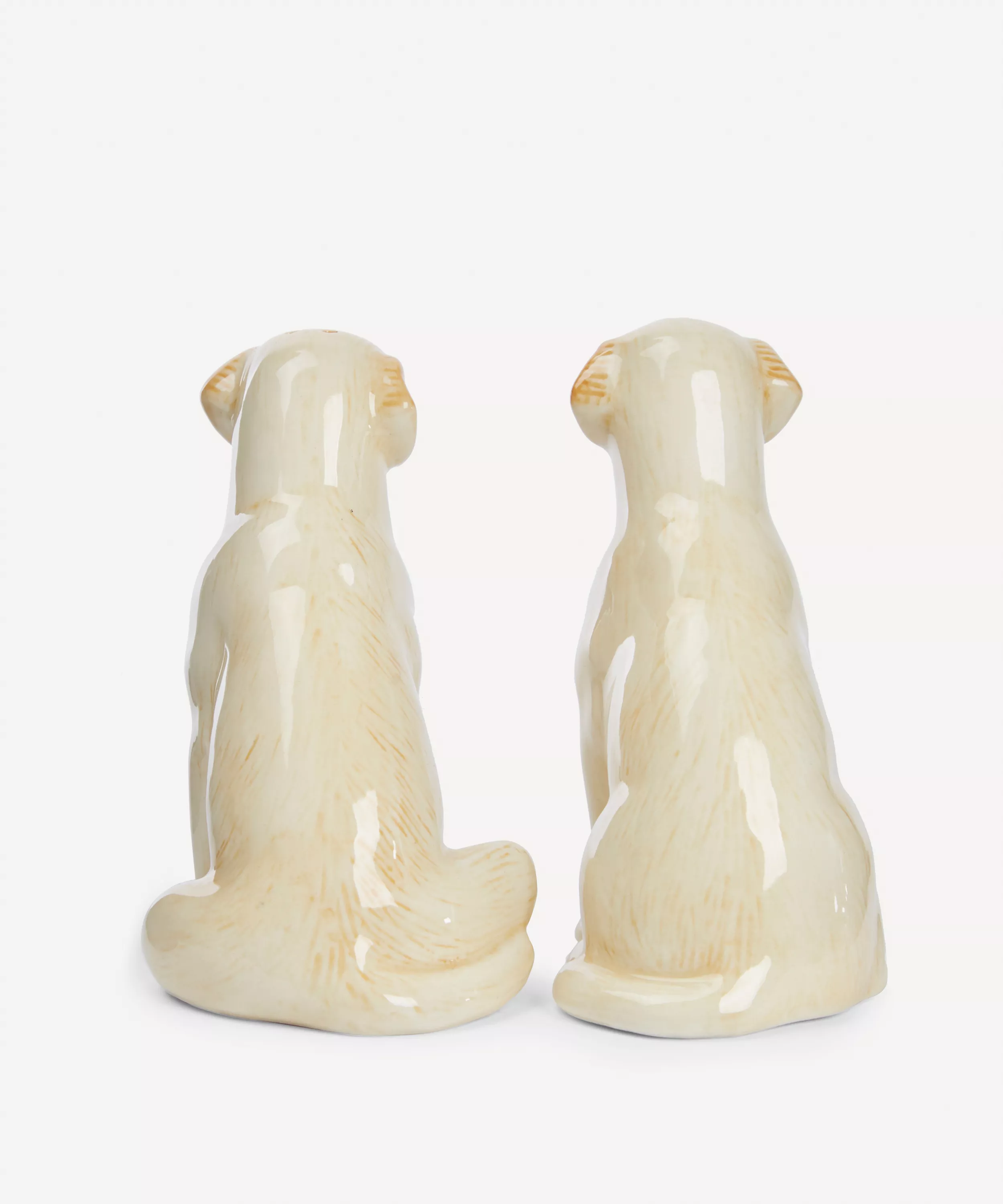 Lab Salt & Pepper Shakers