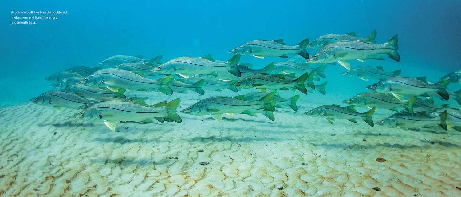 The Zen of Flyfishing