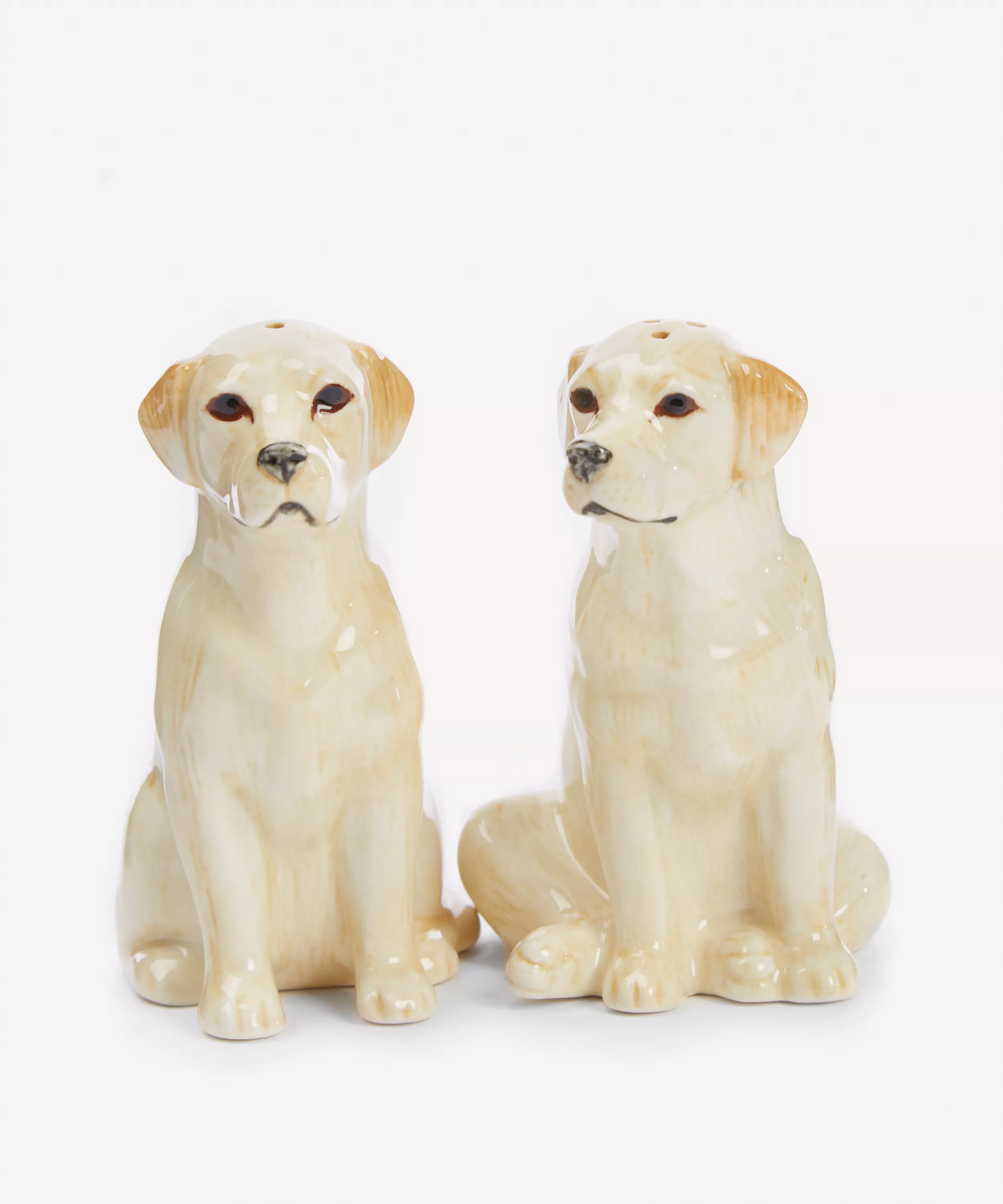 Lab Salt & Pepper Shakers