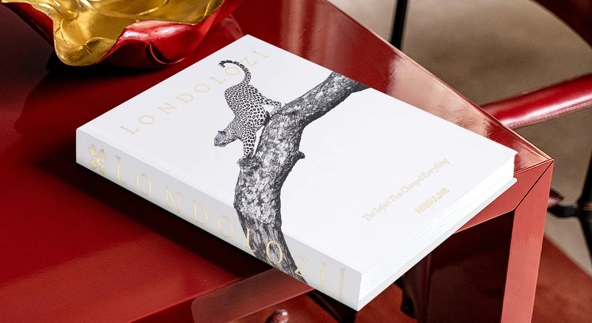 Londolozi: The Safari That Changed Everything