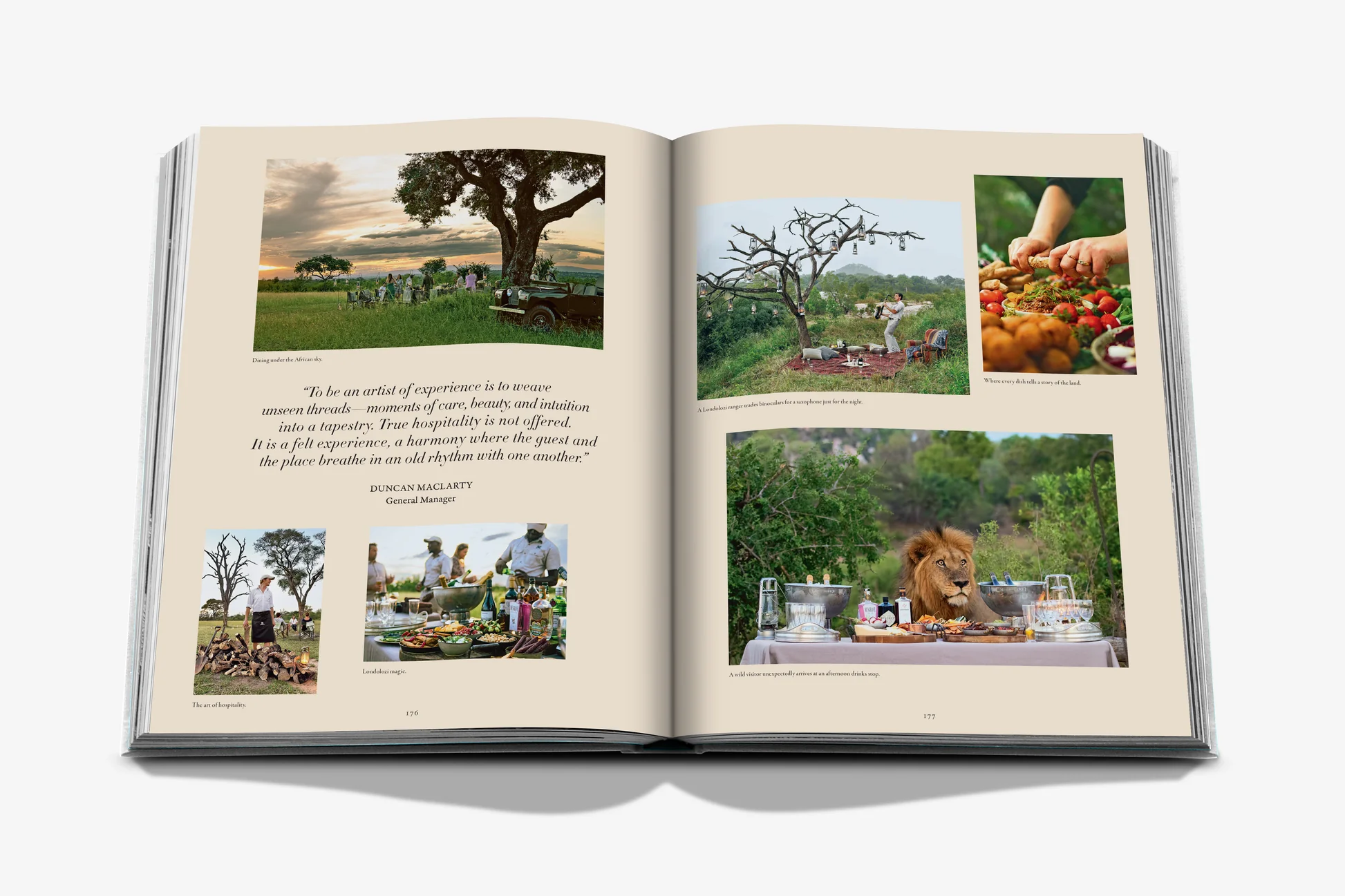 Londolozi: The Safari That Changed Everything
