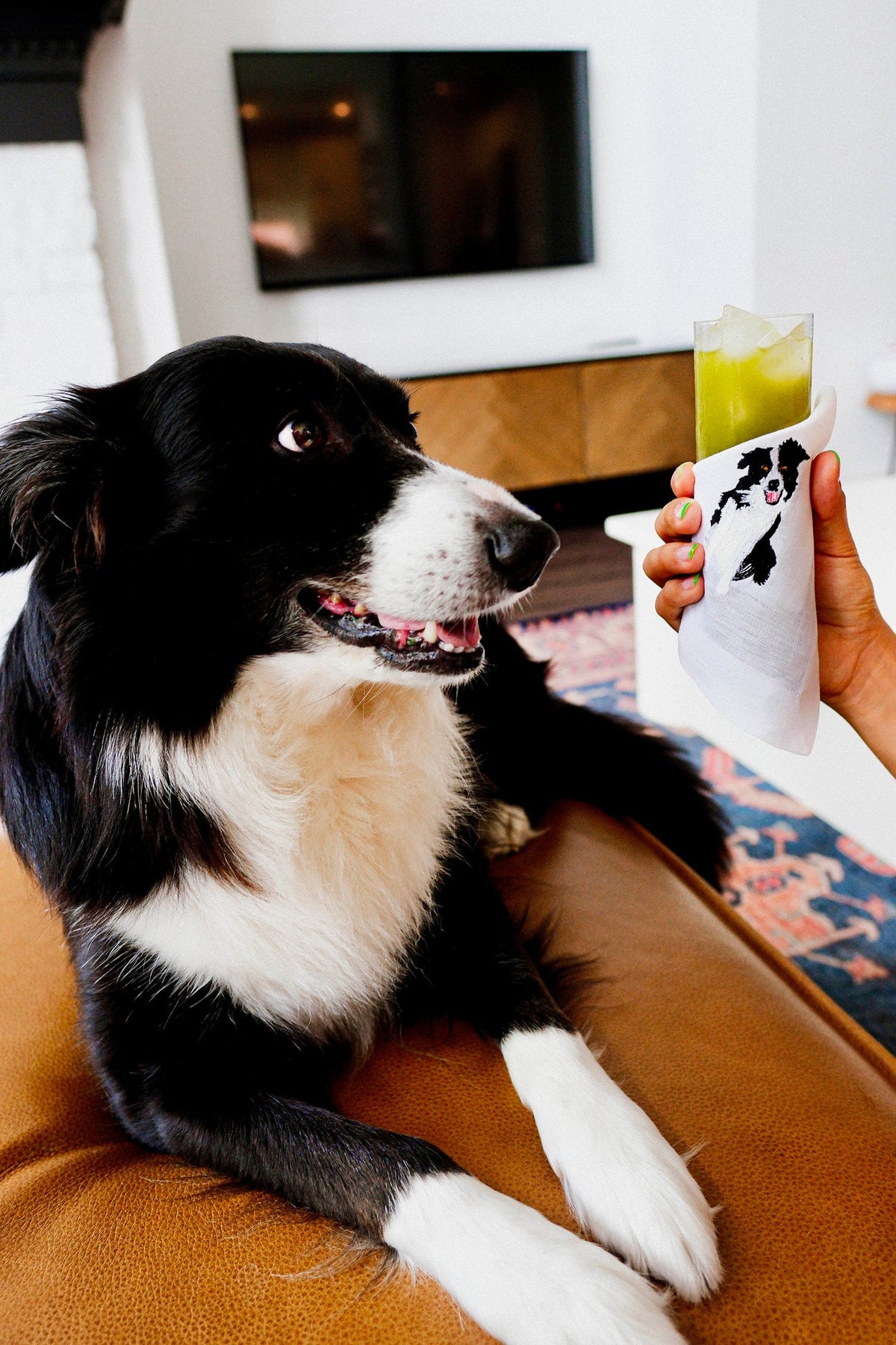 Border Collie Cocktail Napkin