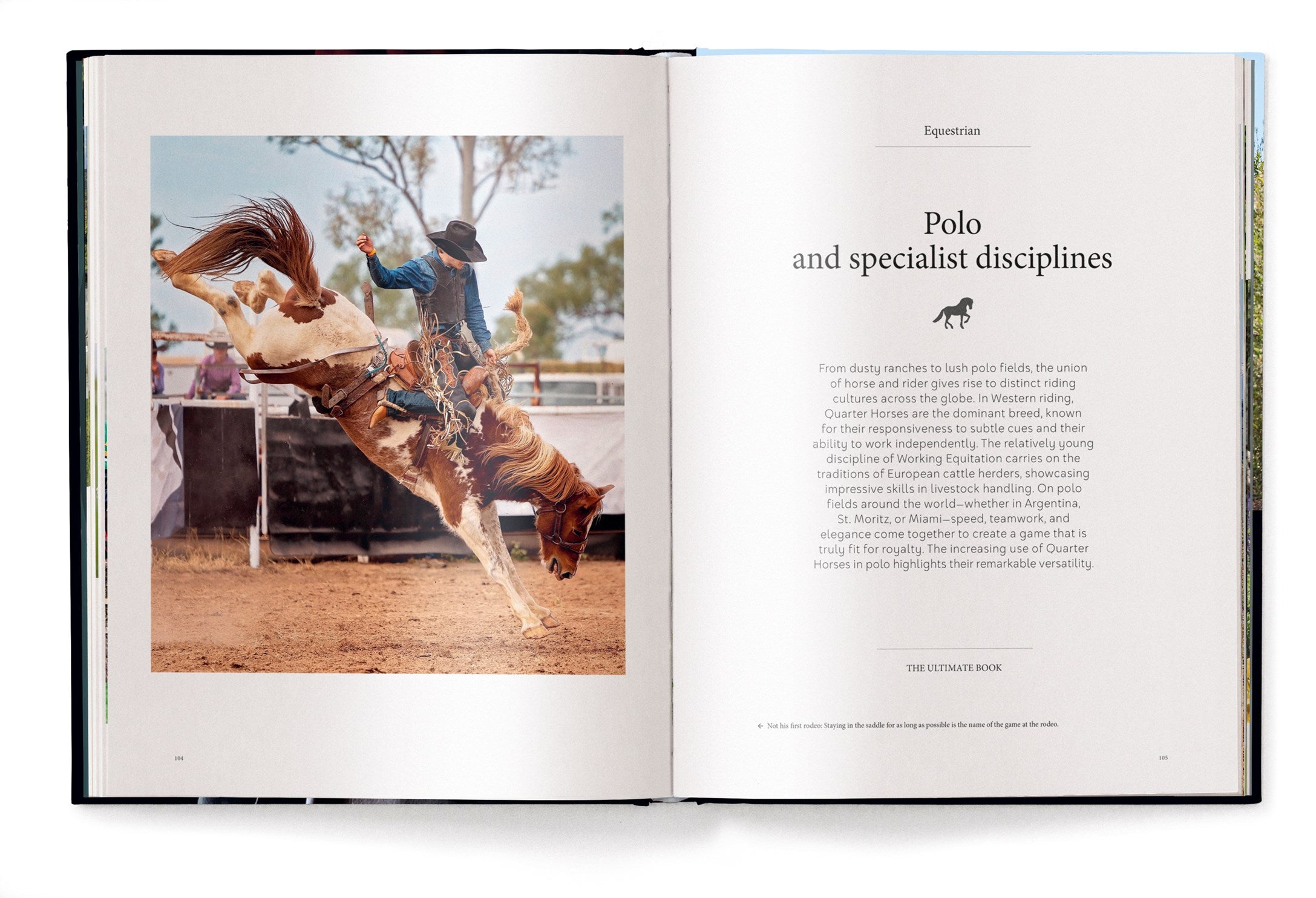 Equestrian - The Ultimate Book
