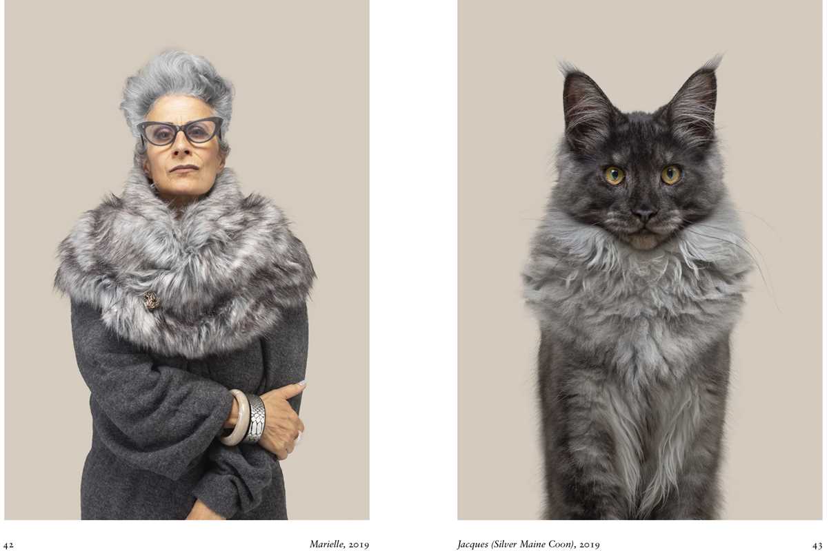 New Photography of the Cat
