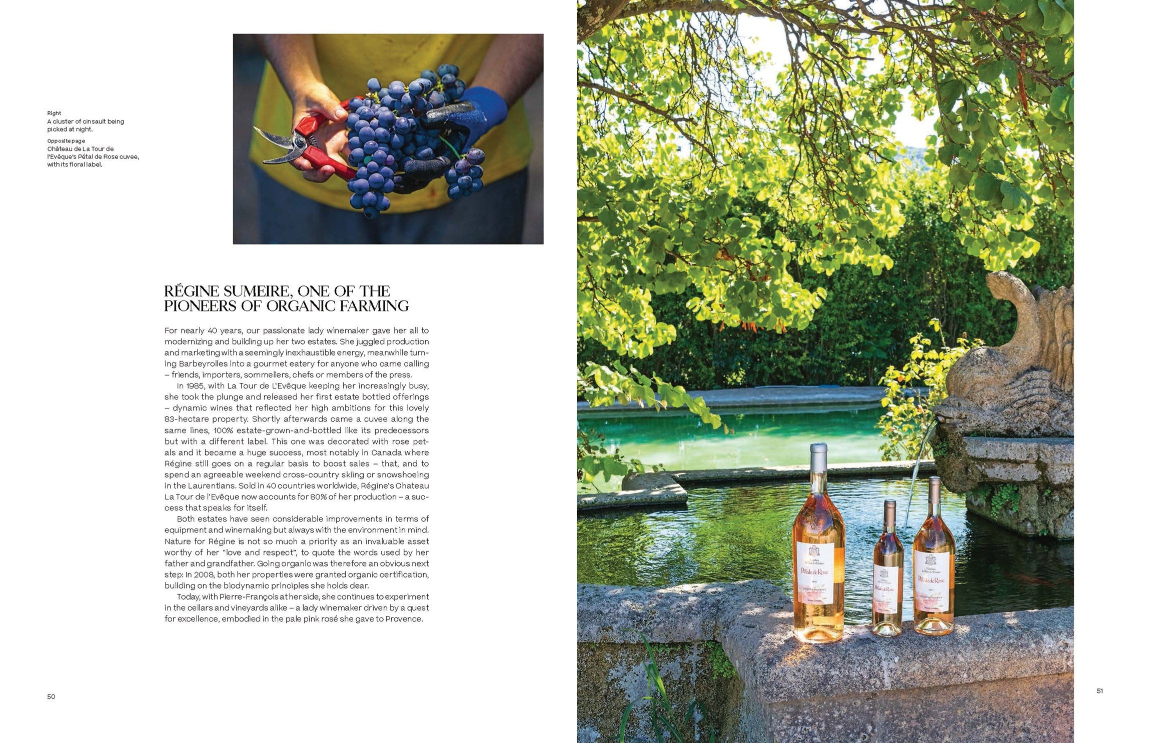 Adventures of Rose Wine in Provence