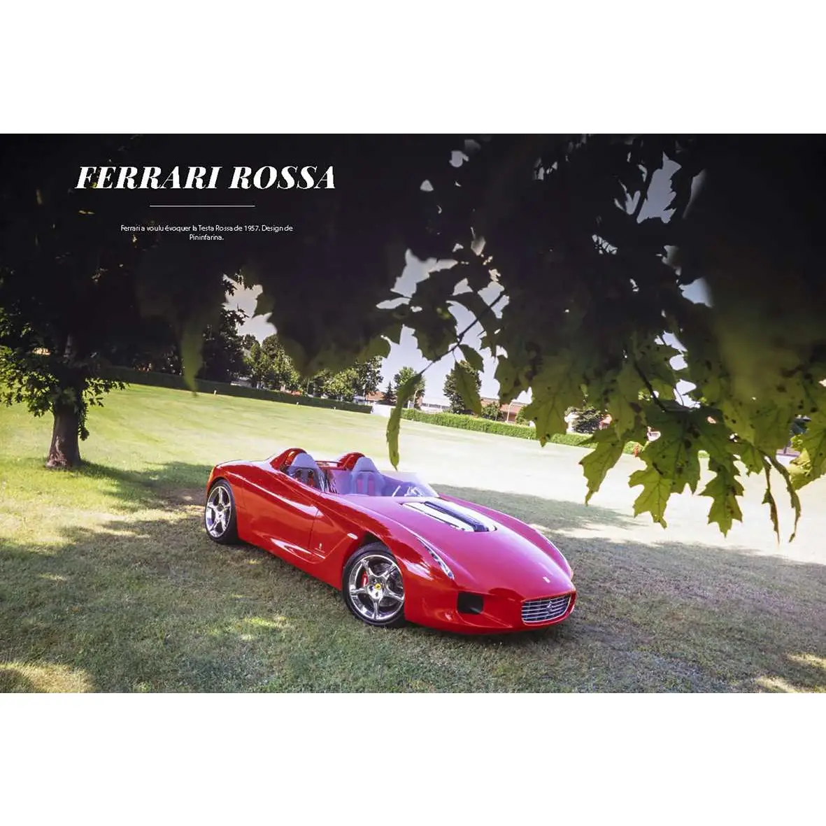 Life in Ferrari Red