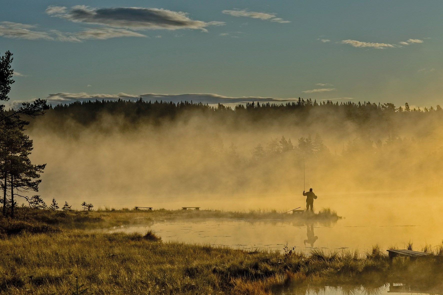 Fishing - The Ultimate Book