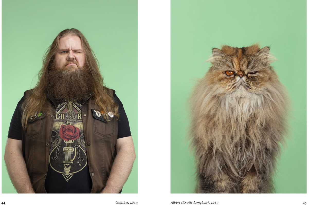 New Photography of the Cat