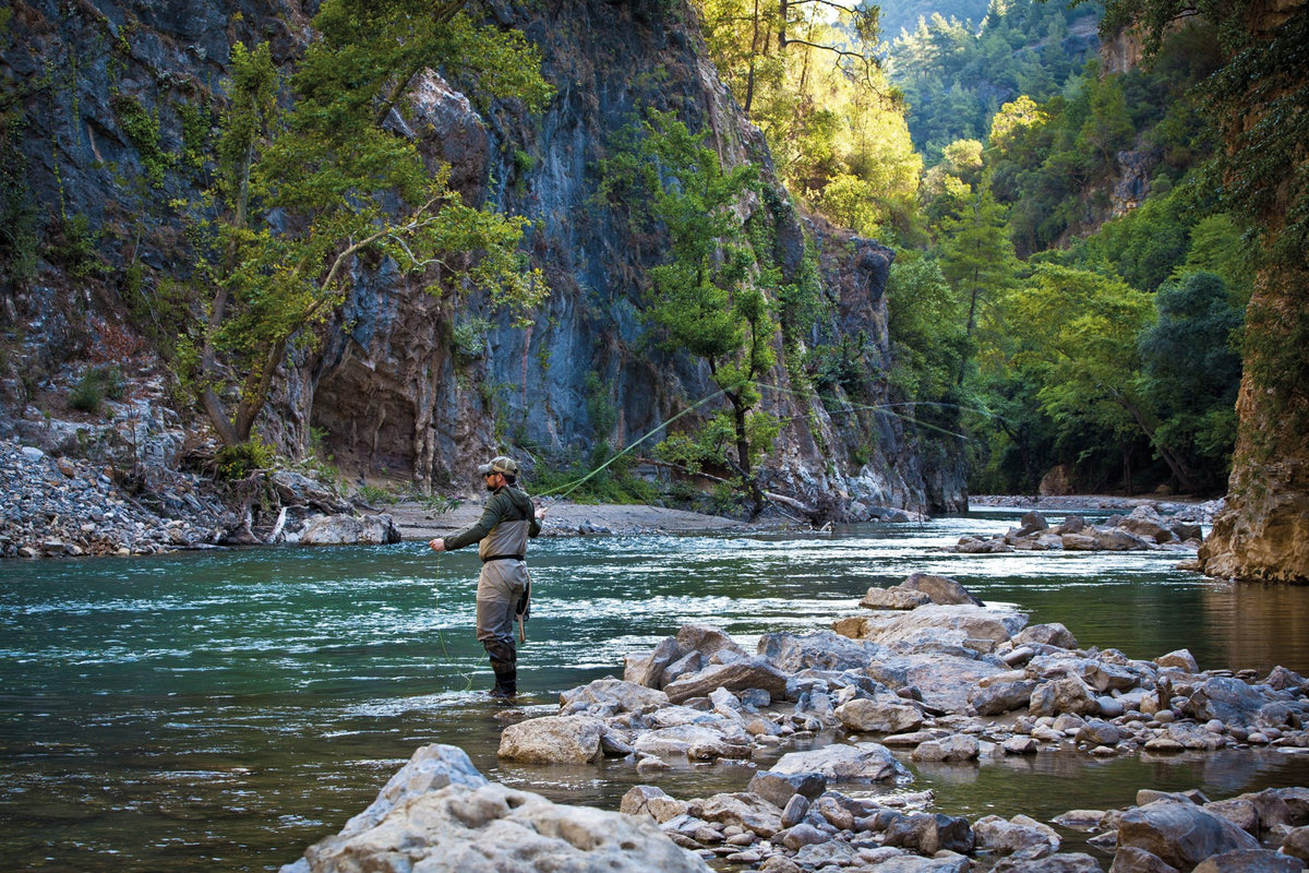 Fishing - The Ultimate Book