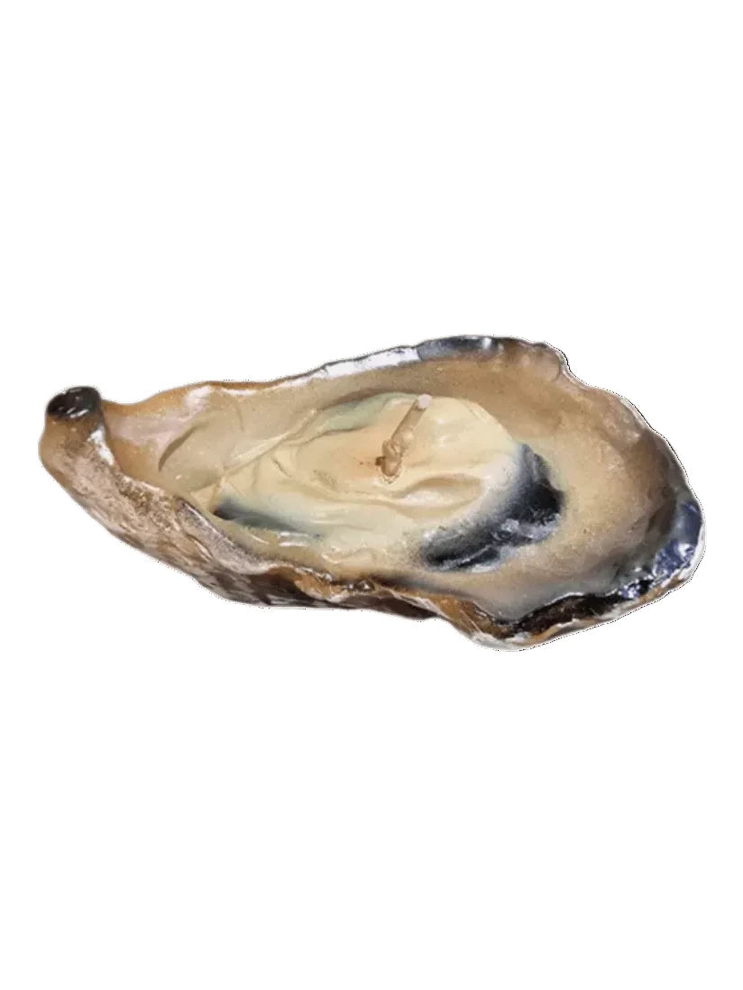 Open oyster shell on a white background